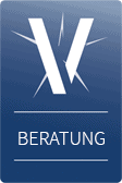 Beratung Software Audit